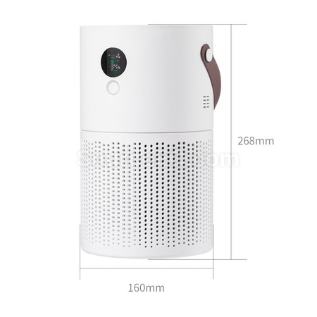Negative Ion Air Purifier