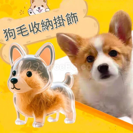Cute Puppy Transparent Hair Storage Box