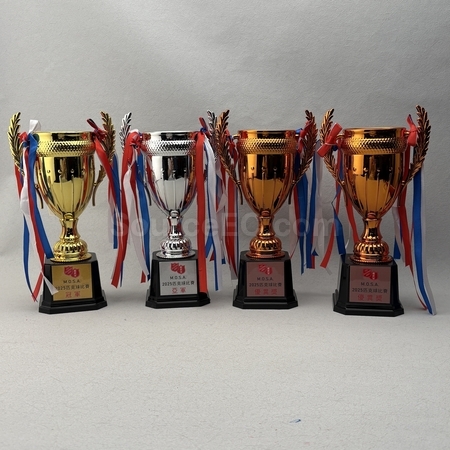 trophy cup, trophy, medal, race award, plaques, coin, wooden medals, silver plate, flag, banner flag, metal badge, custom lapel pins, name board, competition souvenir, corporate gifts, premium gifts, gift supplier, promotional gifts, gift company, souvenirs, stationery, gift wholesale, gift ideas