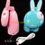 Easter Gift LED lights