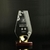 Crystal Trophy