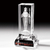 Crystal Trophy