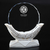 Crystal Trophy