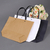Paper Gift Bag