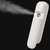 Nano Mist Facial Sprayer