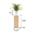 Plant Decoration