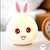 Rabbit Night Light