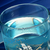 Sailing Glass Mug