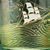 Sailing Glass Mug
