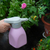 Electric Watering Can