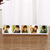 Photo Frame