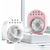Multi-functional Fan