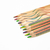 Recyclable Pencil