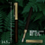 Fountain Pen With Cap