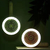 LED Fan