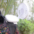 Portable Fan