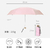 Umbrella And Fan Gift Set