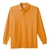 Long Sleeve Polo Shirt