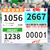 Bib Race Number