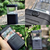 Outdoor LED Lights