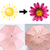 Three Folding Sun Discoloration