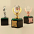 Crystal Trophy