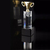 Crystal Trophy
