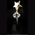 Crystal Trophy
