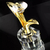 Crystal Trophy