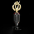 Crystal Trophy