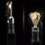 Crystal Trophy