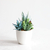 Simulation green plants