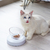 Cat Bowl