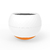 Pet food Bowl