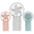 Simple Fashion Small Fan