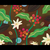 Customized Drip Coffee-Rainforest