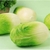 Simulated Vegetable Stress Relief Toy