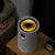 Negative Ion Air Purifier