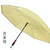 Upside Down Umbrella
