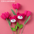 Graduates Knitting Doll Bouquets