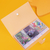 Card storage book