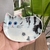 Cat soy sauce dish
