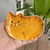 Cat soy sauce dish