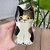 Cat soy sauce dish