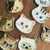 Cat soy sauce dish