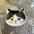 Cat soy sauce dish