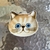 Cat soy sauce dish