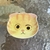 Cat soy sauce dish