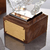 Animal Crystal Award