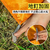 Ultra-Lightweight Outdoor Picnic Mat